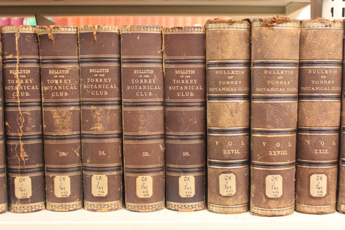 library images